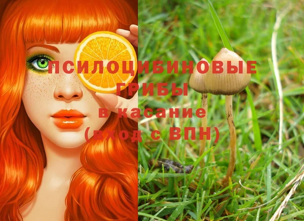 прущая мука Абинск