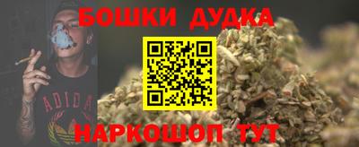 индика Кинель